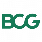 THE BOSTON CONSULTING GROUP (BCG)